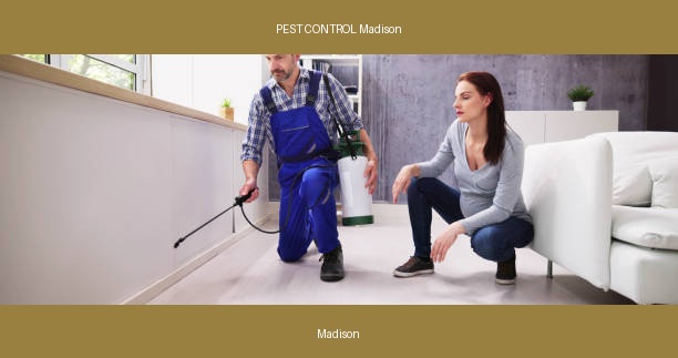 PEST CONTROL Madison
